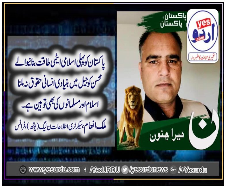 Mallik Inam, secretary information, pmln, youth wing, france