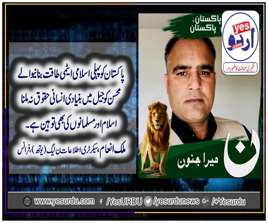 Mallik Inam, secretary information, pmln, youth wing, france