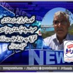 Mian Muhammad Hanif, CHIEFF EXECUTIVE, PMLN, FRANCE