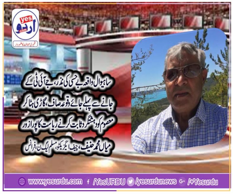 Mian Muhammad Hanif, CHIEF EXECUTIVE, PMLN, FRANCE