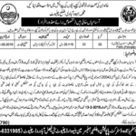 Population Welfare Department Chiniot Jobs 2019 for Family Welfare Assistant (Female) (Disable Quota)