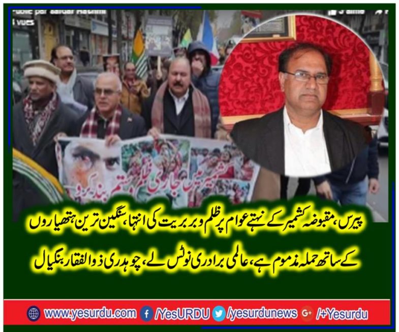 Zulifqar nagial, senior leader, pti, france