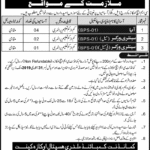 CMH Okara Jobs 2019 for 7+ Sanitary & Aya Staff