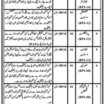 Population Welfare Department KP Jobs 2019 for 9+ Admin, Stenographer, Accounts, Statistical Asst & Other Staff Posts