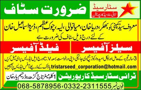 Tri Star Seet RYK Jobs 2019 for Field Officers and Sale Officers