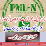 Leadership crisis or anything else in the League? Imran gave great patience to the government
