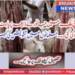 Breaking News: European food ban banned.