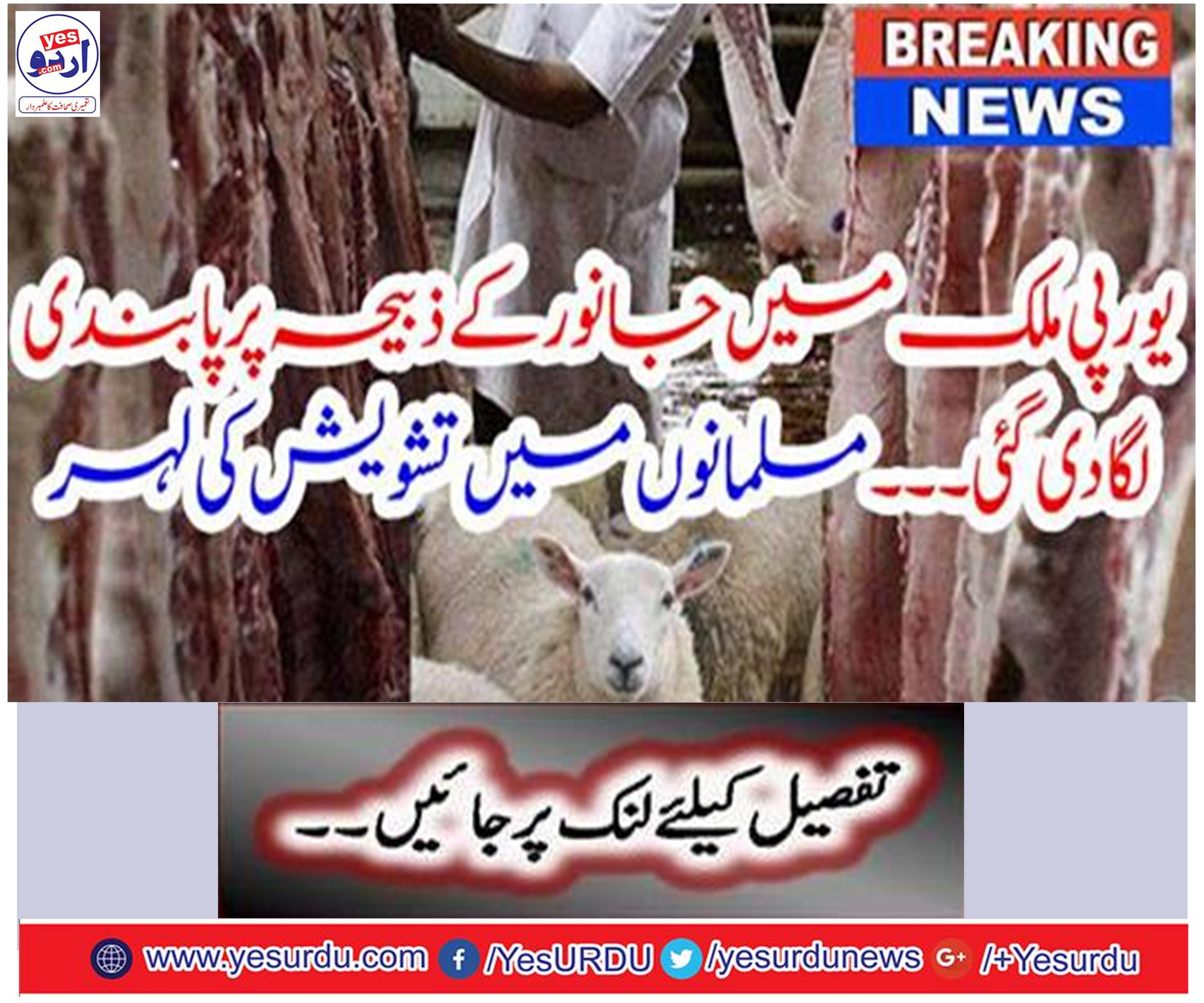 Breaking News: European food ban banned.
