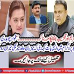 Alma Khan has been working as a cotton export for the past 20 years: Fadad Chaudhary