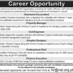 NST NGO Jobs 2019 for Accountant/Finance, Property Manager, Chief Engineer, Chef and Graphic Designer Posts