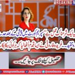 Ghraeda Farooqi, a well-known journalist, published by Zaidi's tweet, heard a little bit