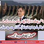 Tirmidhi Alvi issued a verdict regarding the Prime Minister, that the whole movement was under consideration