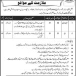 National Institute of Management (NIM) Karachi Jobs 2019 for LDC Clerk and Maali