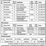 District Public School (Bahawalnagar) Jobs 2019 for 13+ Teachers & Support Staff