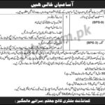 Military College Jhelum Jobs 2019 for Assistant Security Supervisor and Cook Posts