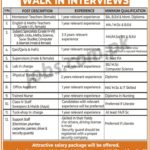 Peshawar Model School (Swabi) Jobs 2019 for Staff Nurses, Supervisors, PTI, Lab, Office, Teaching & Other Staff (Walk-in Interviews)