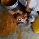 Watch till end