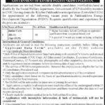 PEDO KP Jobs 2019 for 3+ Junior Clerks