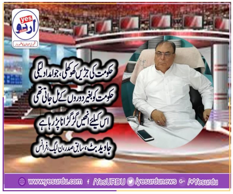 javed butt, EX-PRESIDENT, PMLN, FRANCE