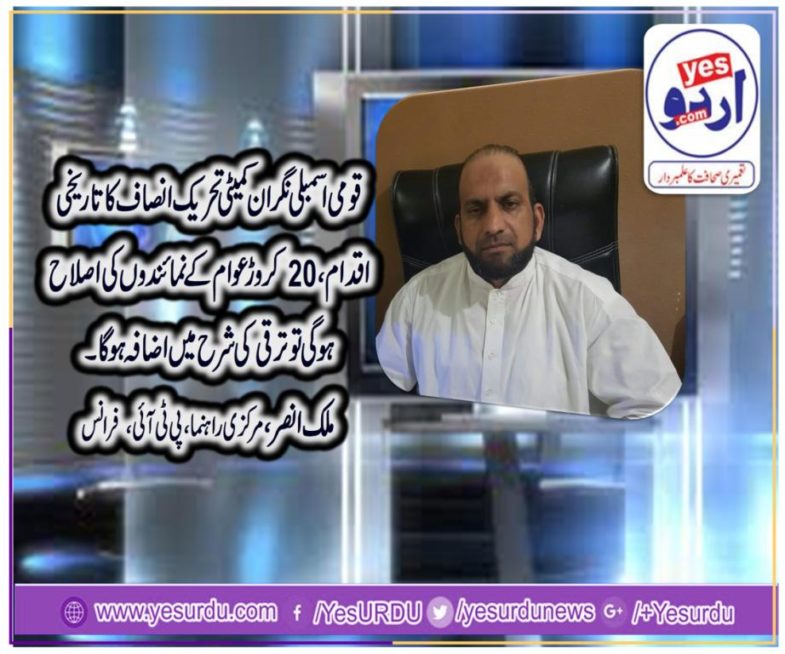 malik ansar, SENIOR, LEADER, PTI, FRANCE