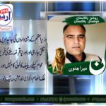 malik inam, secretary, information, pmln, youth wing, france