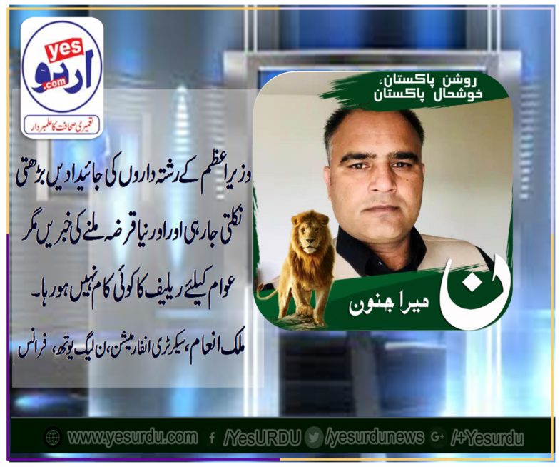 malik inam, secretary, information, pmln, youth wing, france