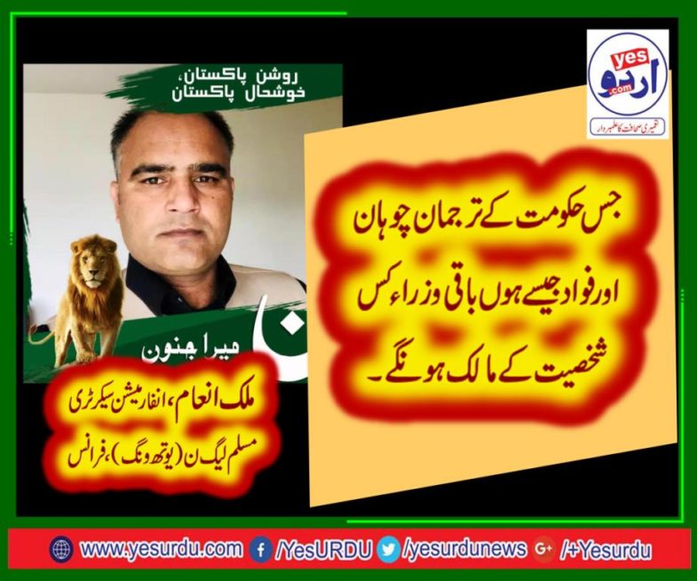 malik inam, INFORMATION SECRETARY, PMLN, YOUTH WING, FRANCE