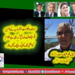 mian muhammad hanif, chief executive pmln, france