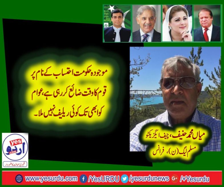 mian muhammad hanif, chief executive pmln, france