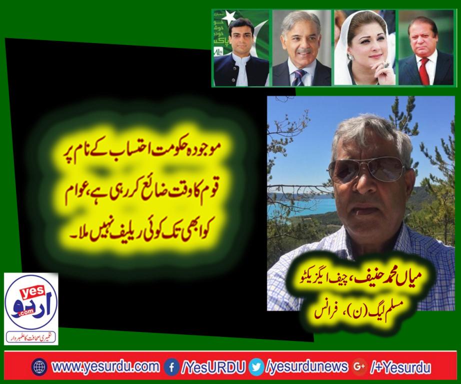 mian muhammad hanif, chief executive pmln, france