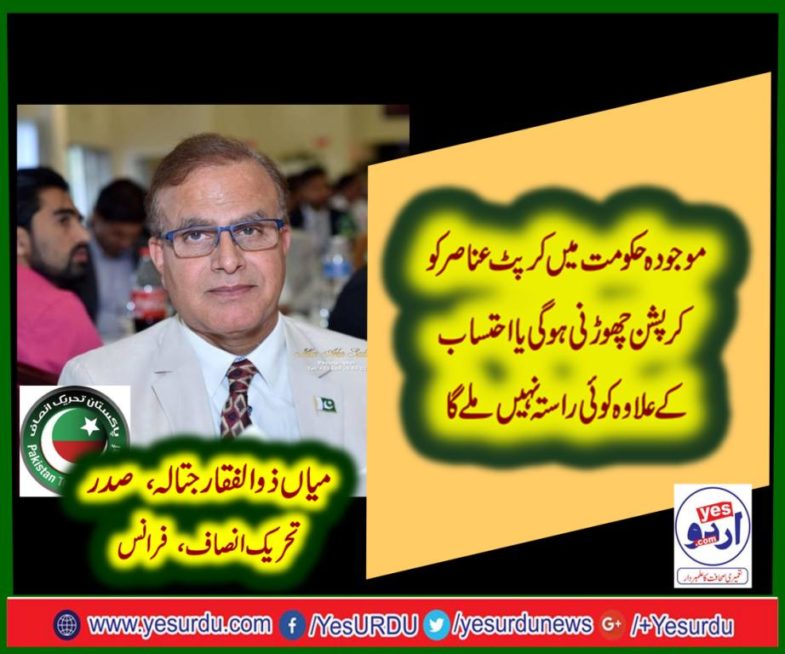 mian zulifqar jatala, president, pti, france