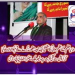 qaiser malik, senior, leader,ppp, germany