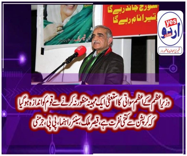 qaiser malik, senior, leader,ppp, germany