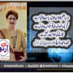 shahida amjad warraich, senior, leader, pti, france
