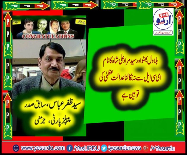 syed zafar abbas, EX-PRESIDENT, PPP, GERMANY