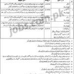 Govt Syed Mittha Teaching Hospital Lahore Jobs 2019 for Medical Officers and Specialists