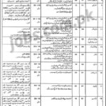 Social Welfare & Baitul Maal Department Punjab Jobs 2019 for 243+ Posts (Multiple Categories) (Multiple Districts)