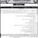 SMBB Medical University Larkana Jobs 2019 for Registrar Post
