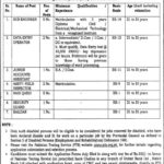 LDA / WASA Jobs 2019 for 17+ Sub-Engineers, Accounts, DEO & Other Posts (Disable Quota)