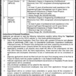 PEDO KP Jobs 2019 for Project Managers and Director Posts