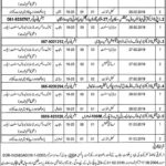 Livestock & Dairy Development Department Punjab Jobs 2019 for Veterinary Assistant, Technician & Support Staff