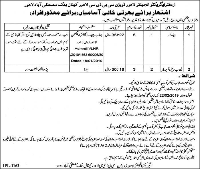 Irrigation Department Punjab Jobs 2019 for 8+ Baildar and Tube Well Operator (Disable Quota)