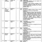 AJK Elementary & Secondary Education Department Jobs 2019 for 8+ Posts (Multiple Categories)