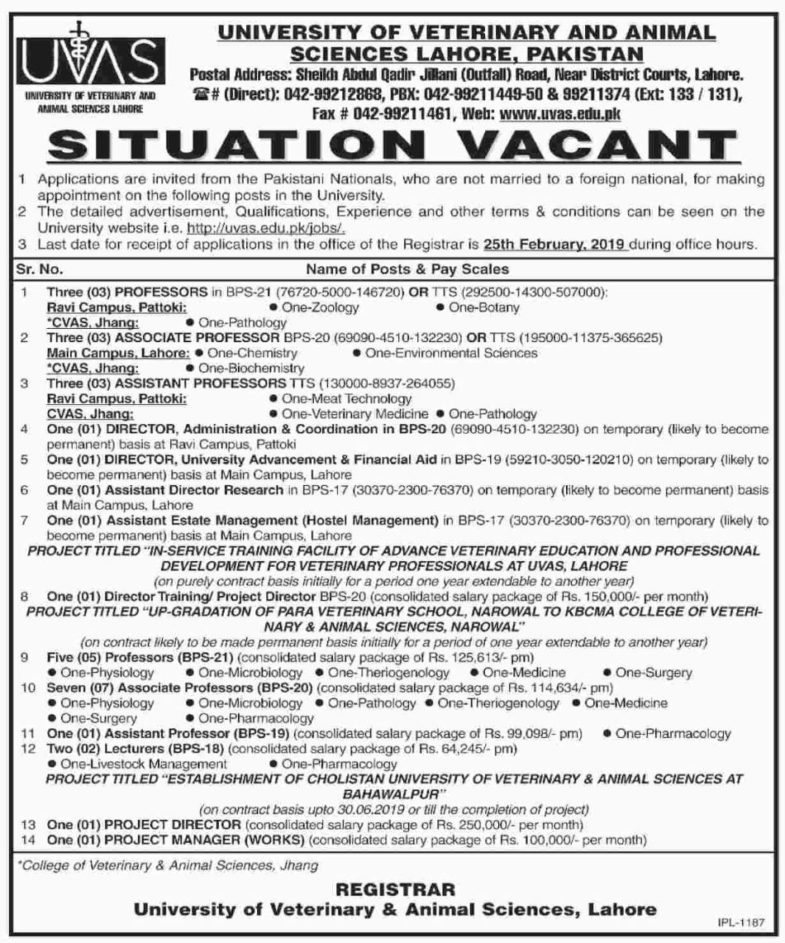 UVAS University Lahore Jobs 2019 for 31+ Teaching & Non-Teaching Staff