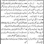 Sindh Energy Holding Company Jobs 2019 for CFO / Company Secretary Posts