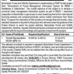 Balochistan Forest & Wildlife Department Jobs 2019 for Female Representative (Walk-in Interviews)