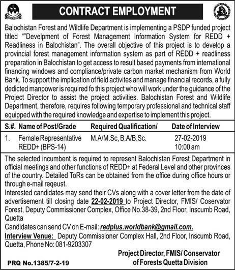 Balochistan Forest & Wildlife Department Jobs 2019 for Female Representative (Walk-in Interviews)