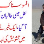 Sadly news: Little Massey came under Taliban, a news broke a wave of concern across the world.
