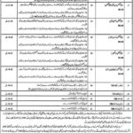 Rawalpindi Health Department Jobs 2019 for 36+ Posts (Multiple Categories) (Disable Quota)