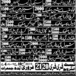Saudi Arab Local Government Jobs 2019 for 100+ Engineering, Technical, Drivers & Other Posts in Various Categories)